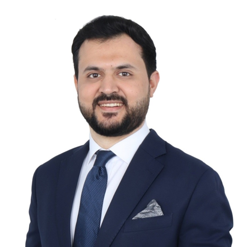 Ali Mehdi Abbas